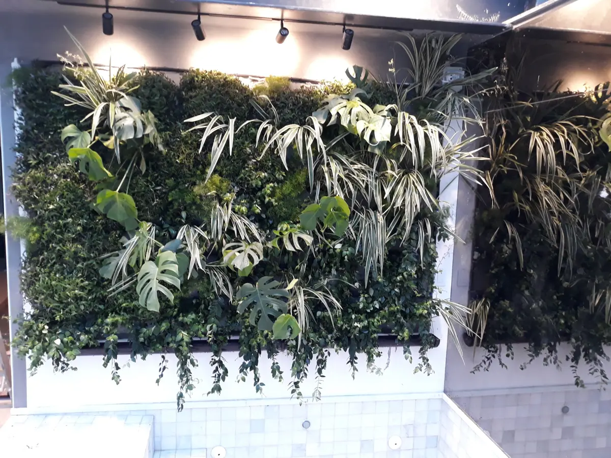 Jardim vertical em Ipanema