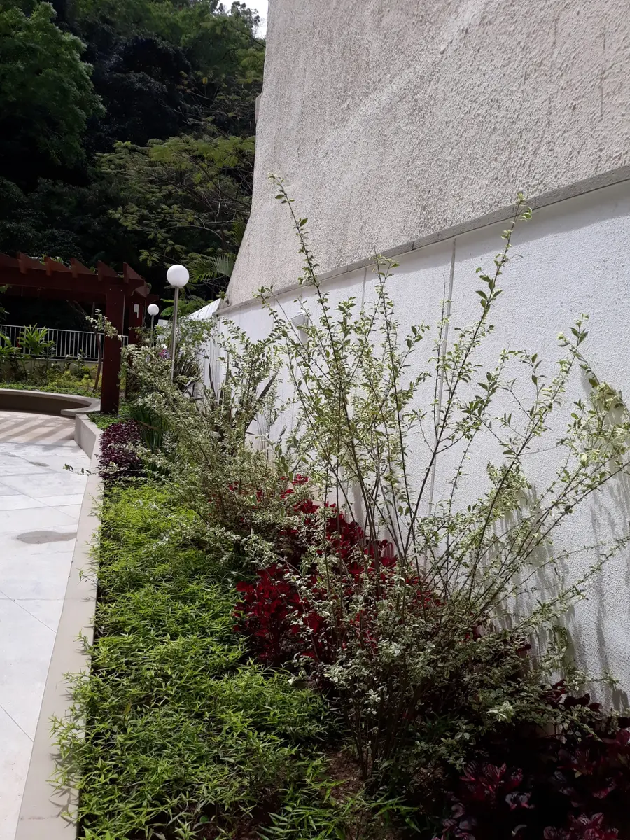 Canteiro estratificado na área comum em Copacabana