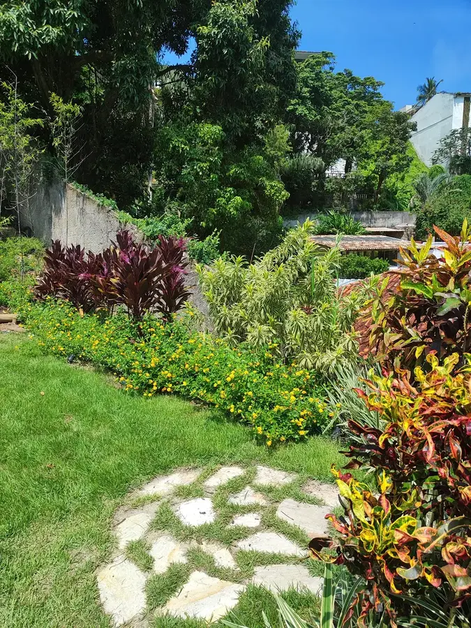 Composição de folhagens e cores no jardim do Joá