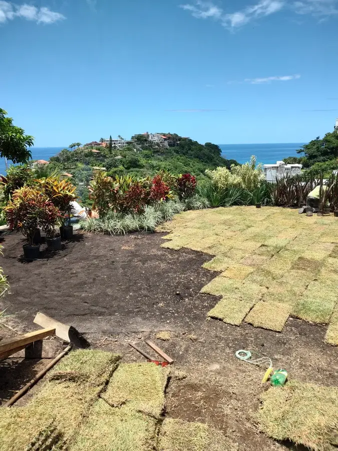 Implantação do gramado no terreno inclinado