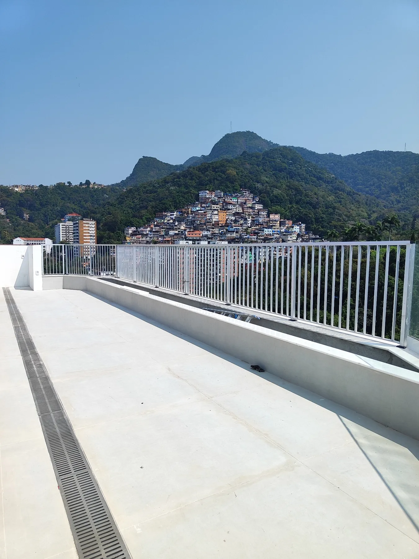Antes — Paisagismo de Terraço — Gávea