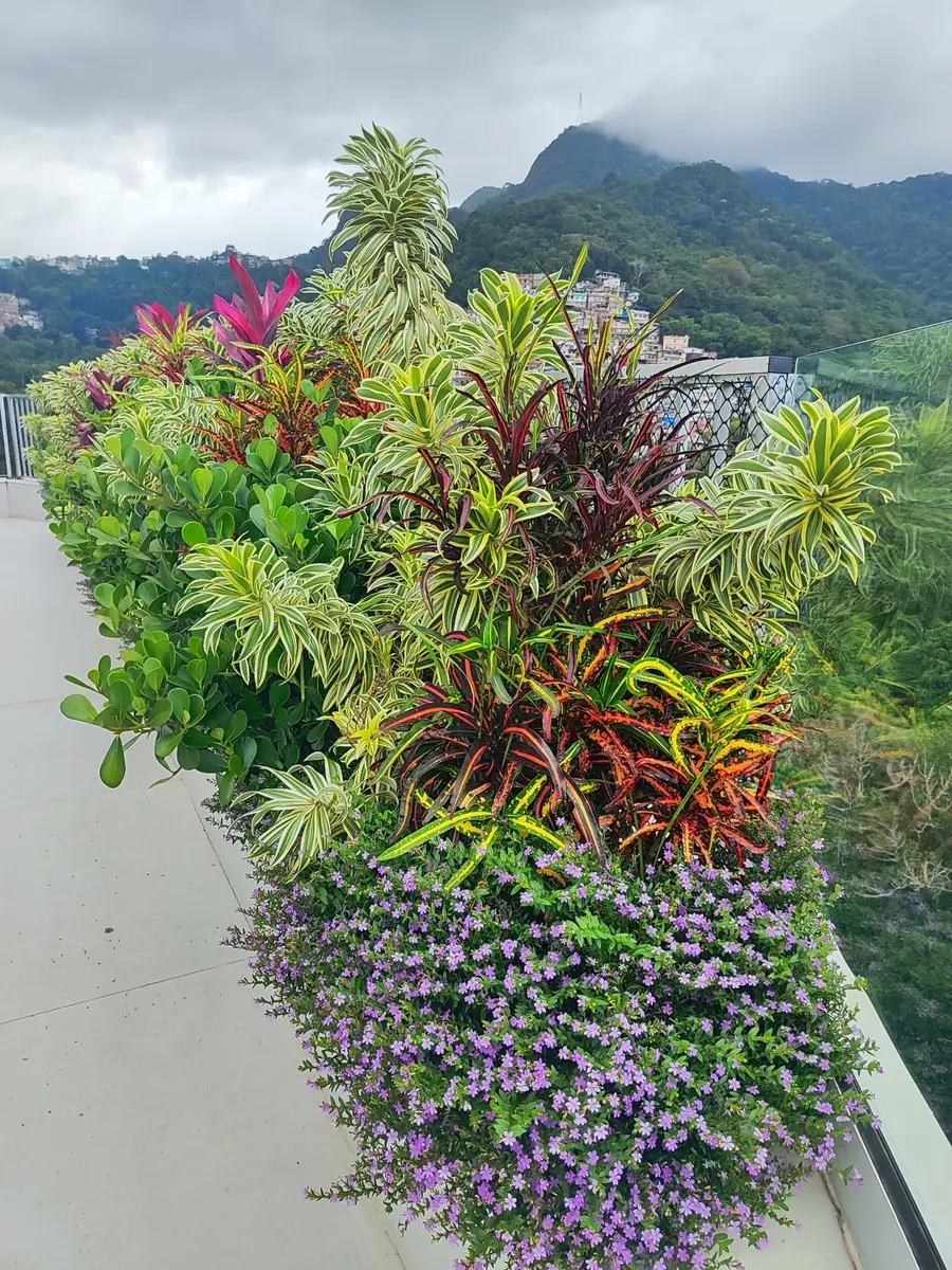 Composição vegetal — Gávea