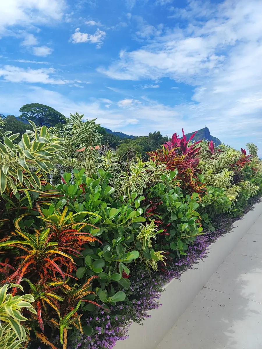 Paisagismo de Terraço — Gávea