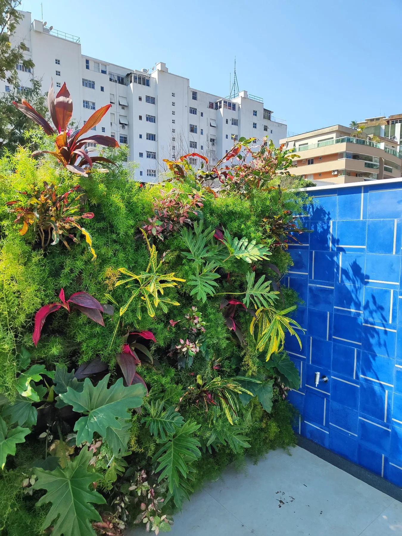 Jardim vertical — Humaitá