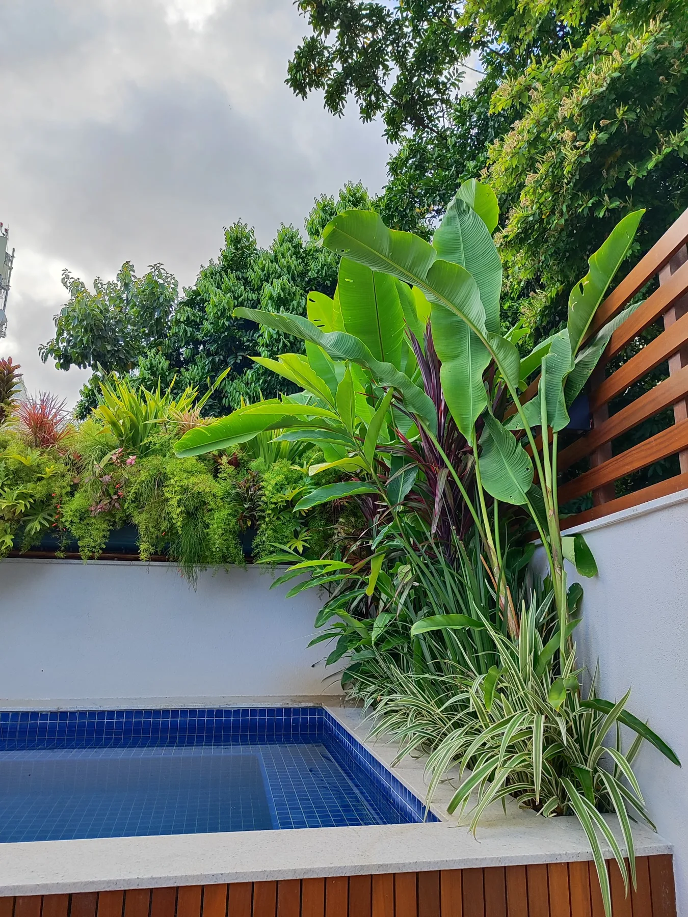 Composição geral — Jardim Botânico